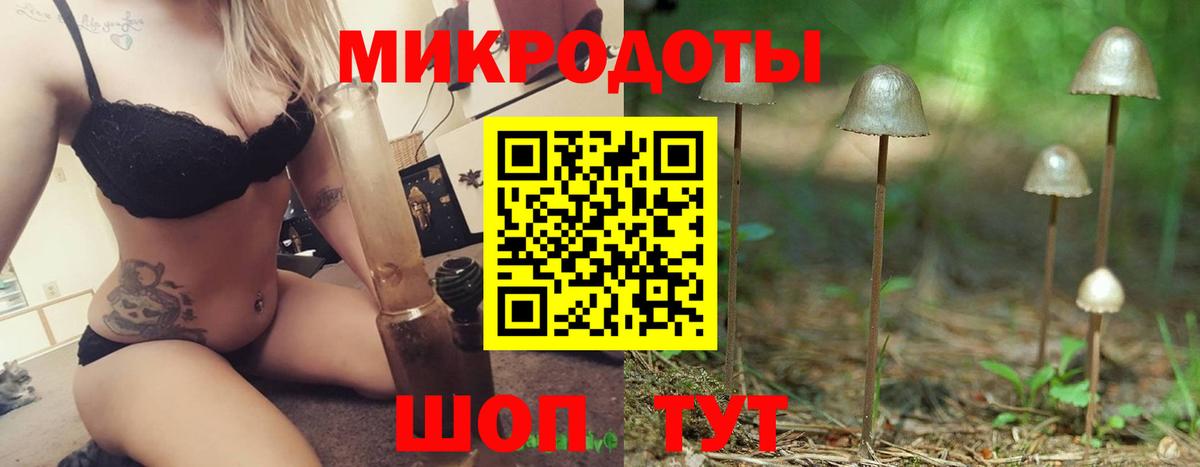 Галлюциногенные грибы мухоморы Анжеро-Судженск